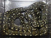 Morelia spilota spilota