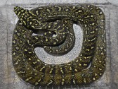 Morelia spilota spilota